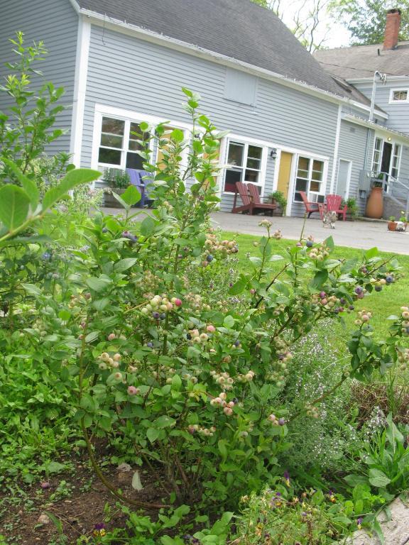 Dragonfly Inn Annapolis Royal Eksteriør bilde